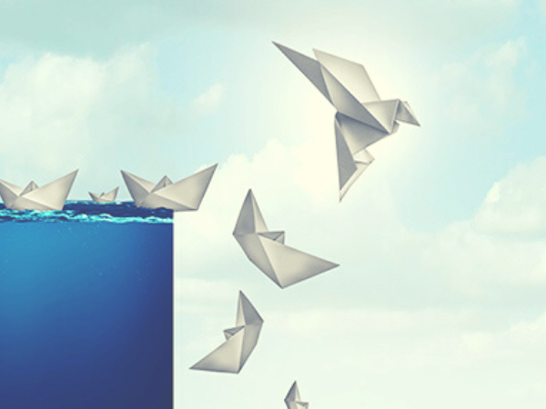 Blog 3 transformation